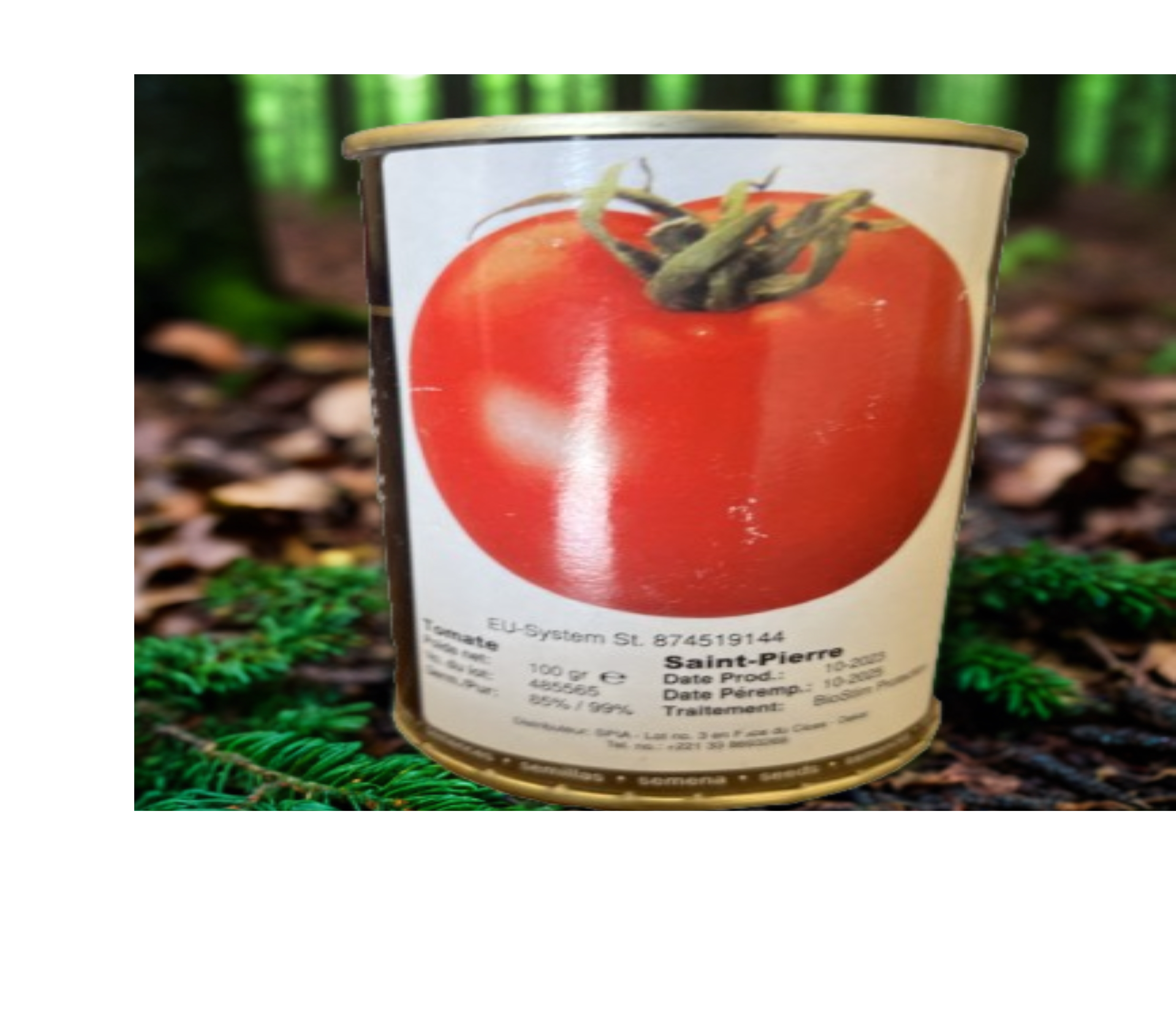 Semence Tomate